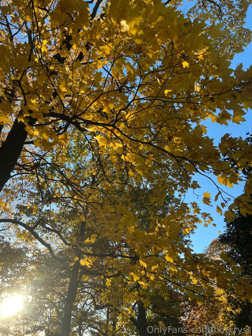 Great sunny friday inspires me to cook delicious food and up my mood i part 1 