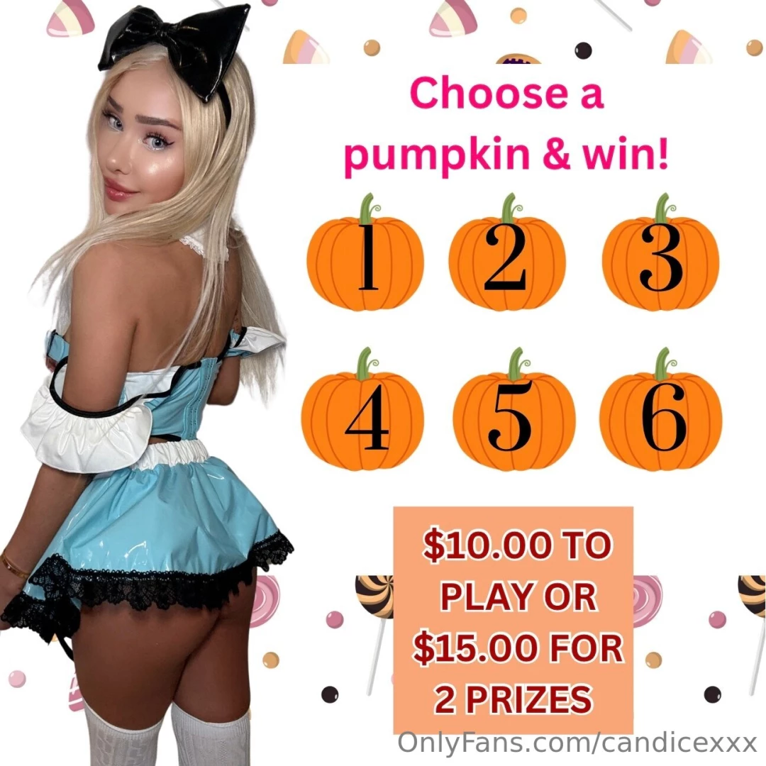 Tip 10 or 15 amp choose your pumpkins behind every pumpkin is a gift 