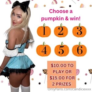 Tip 10 or 15 amp choose your pumpkins behind every pumpkin is a gift