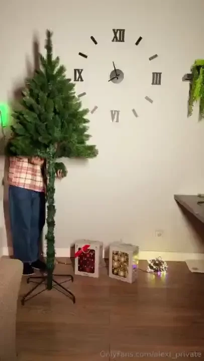 Have u decorated your xmas tree guys 