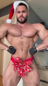 Merry christmas my dear fans part 4