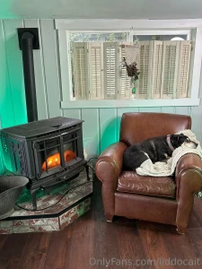 Bear stole the show while i m setting up for something isn t she