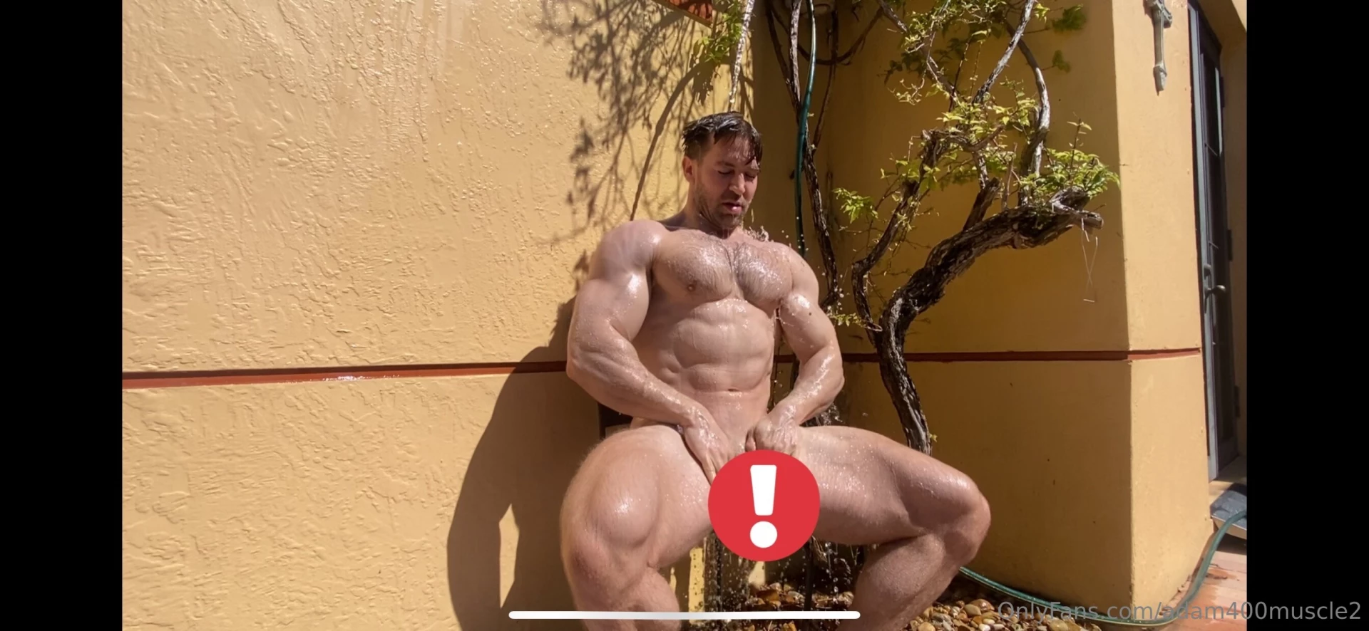 Adam400muscle2 part 1 