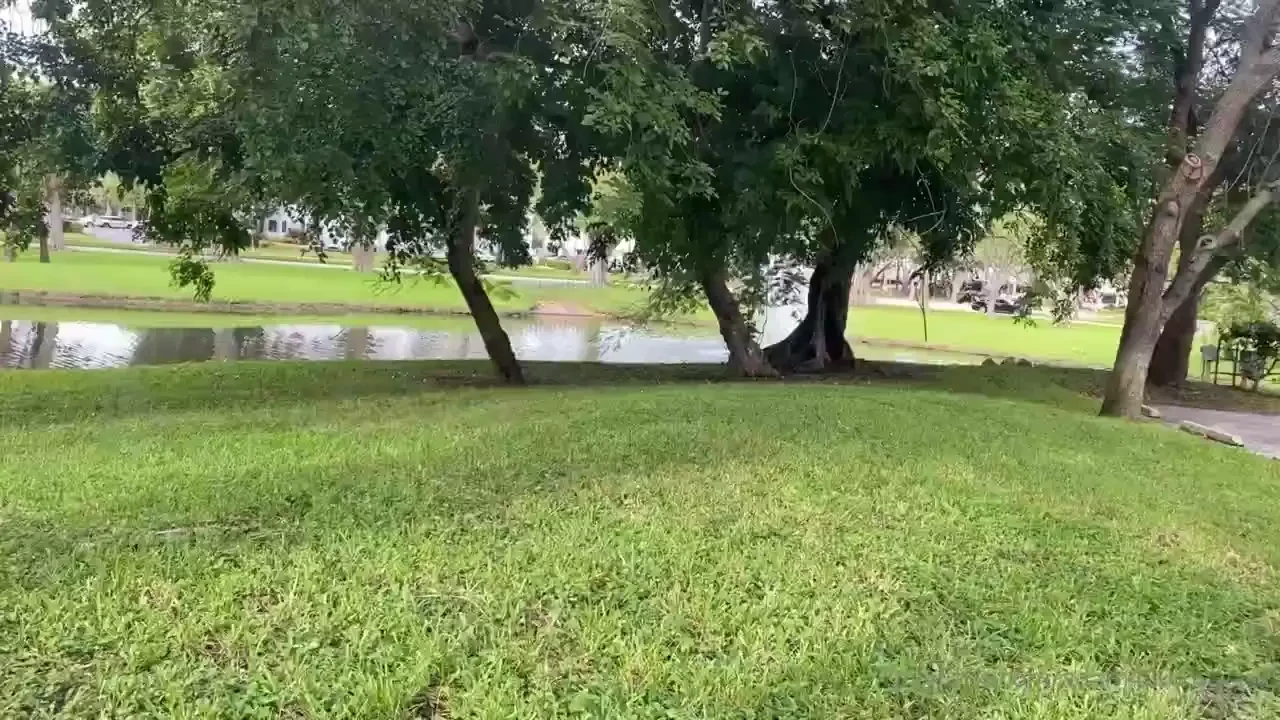 Out for a stroll and found a long vine to swing on will it hold my part 2 