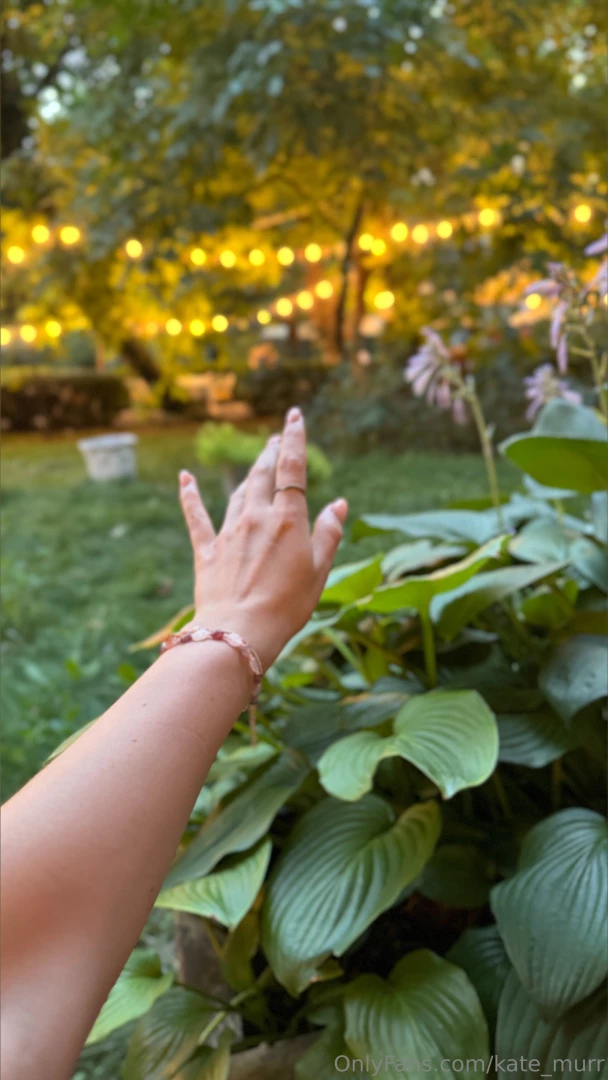 Make up your own description 