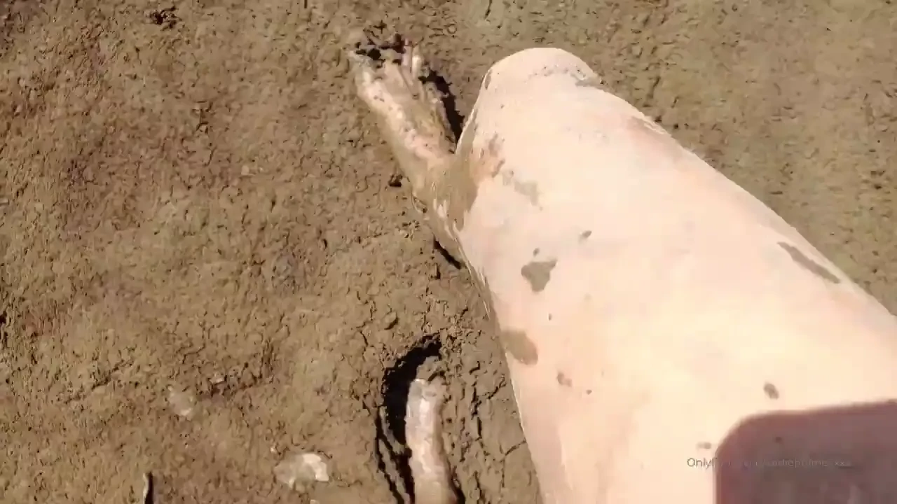 Be a good foot boy amp clean my muddy feet 