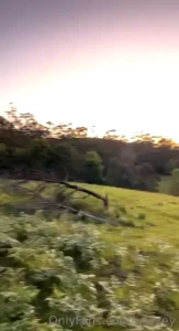 A drive i took on the property i live on part 15