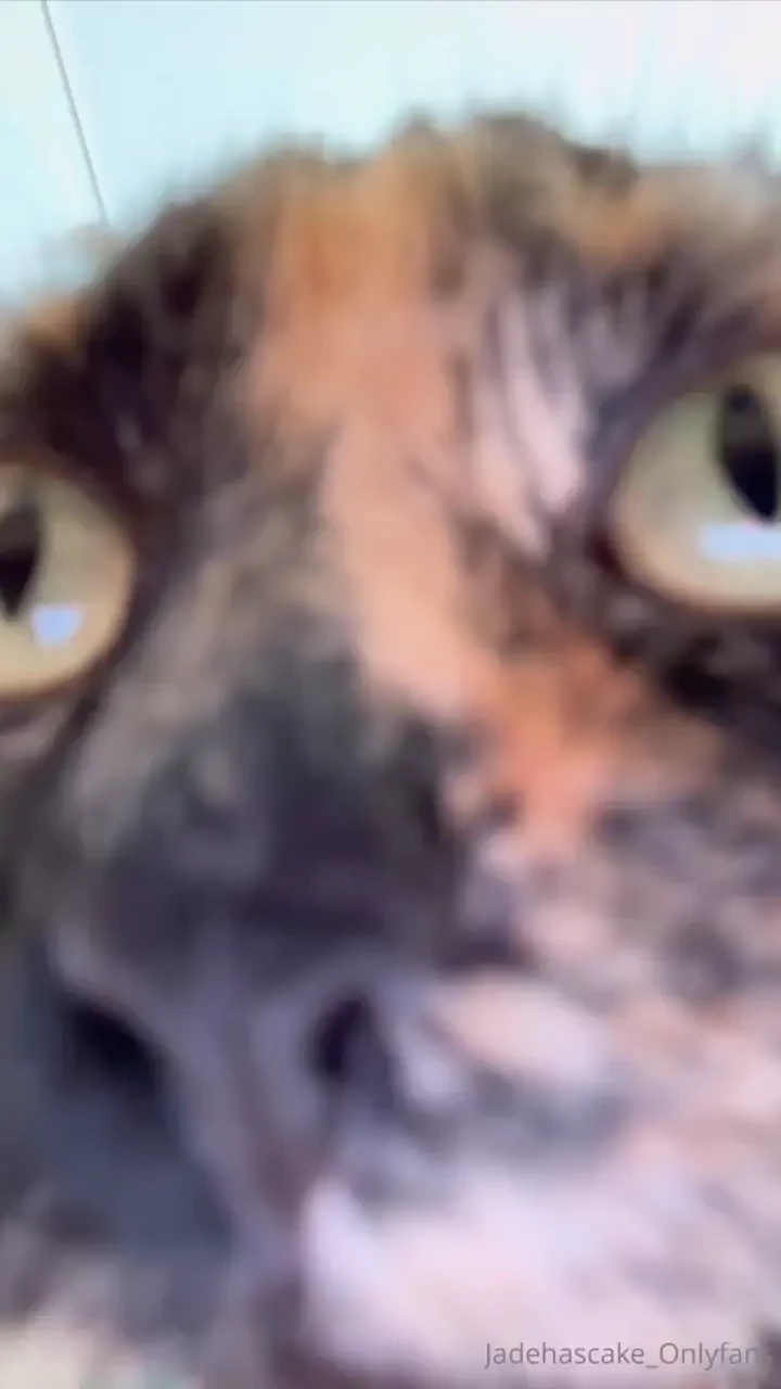 Editing content when 