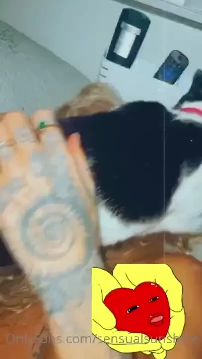D r u n k cat video in ur dms 