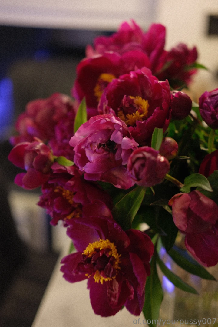 I absolutely adore peony season their lush vibrant blooms fill my part 10 