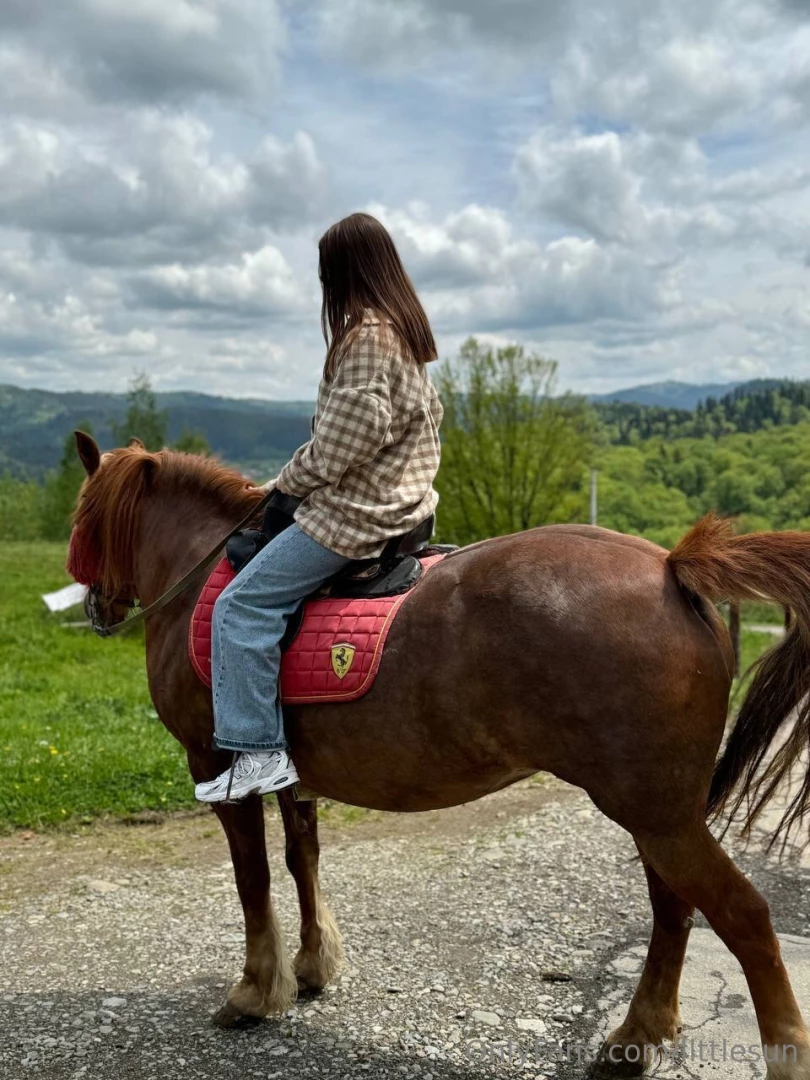 Why you should love horses horses are a symbol of strength and grace 