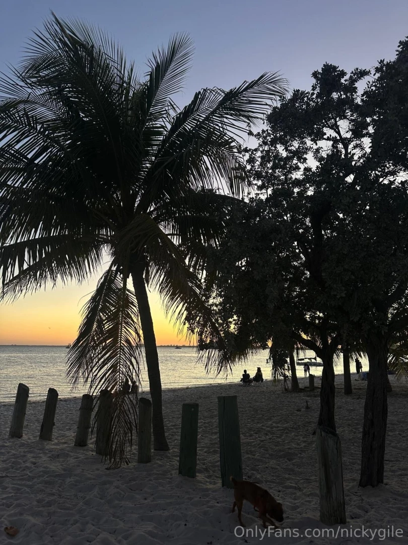 Sunset dump part 2 