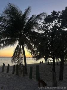Sunset dump part 2