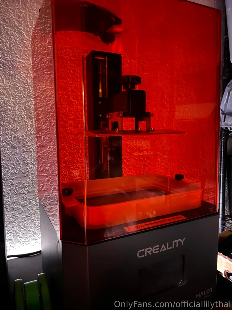 Officiallilythai part 2 