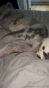 This is how i wake up part 12