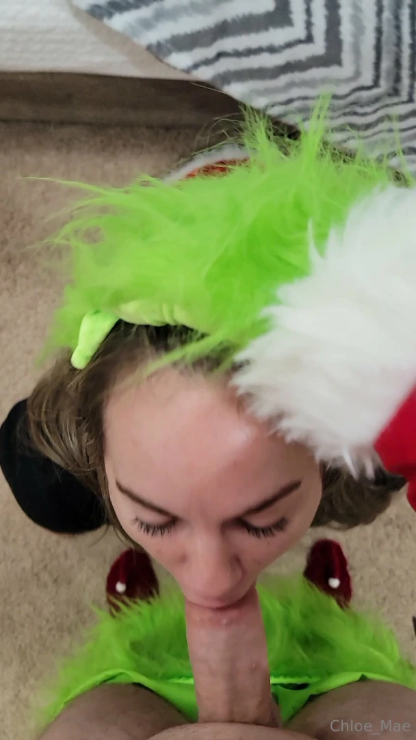 I caught the grinch stealing my ho ho ho lights so i had to think fast 