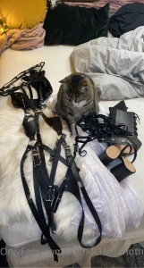 I ve been super busy at work so i haven t been active but don t worry part 2