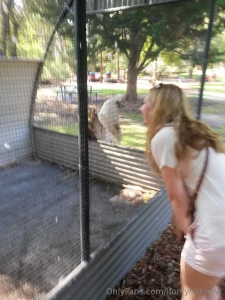 My attempt at being a bird whisperer