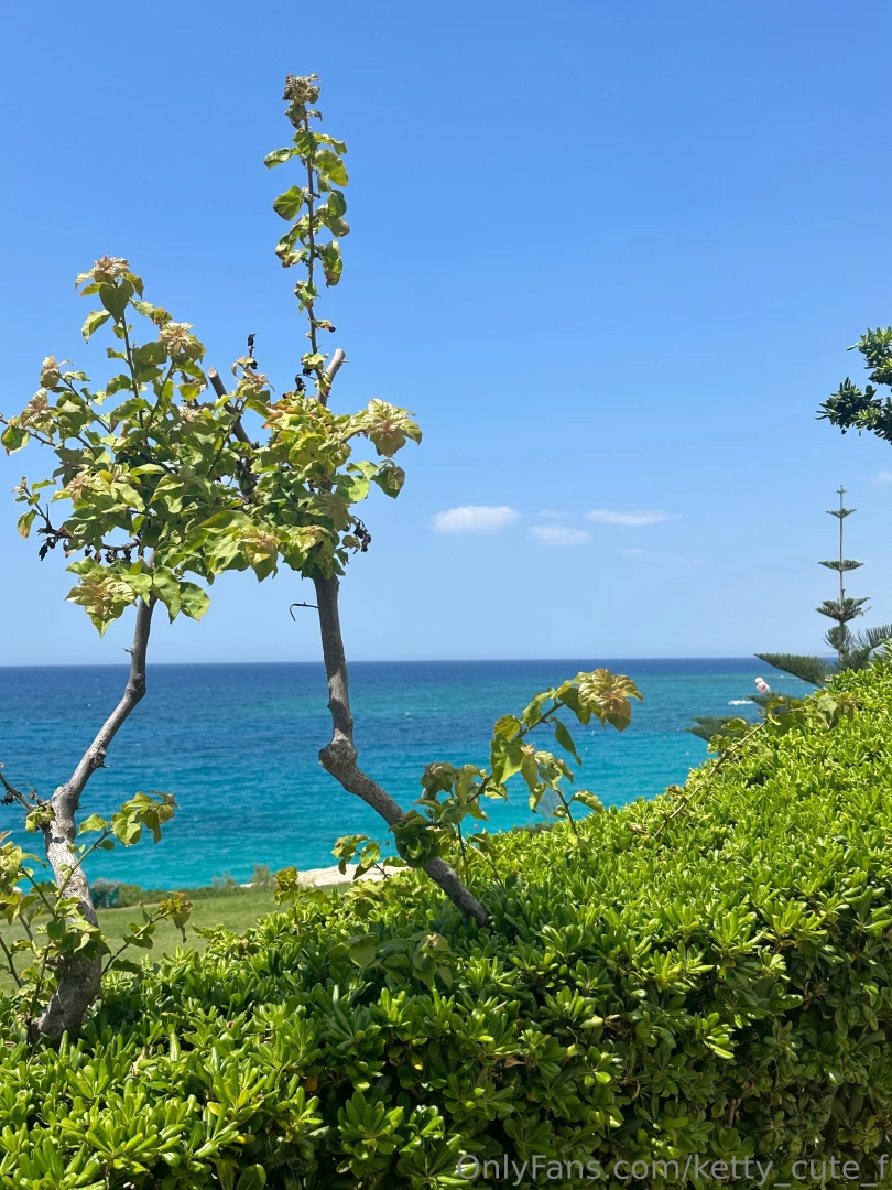 Every sunset paints the sky in hues of pink and orange a daily 