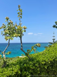 Every sunset paints the sky in hues of pink and orange a daily