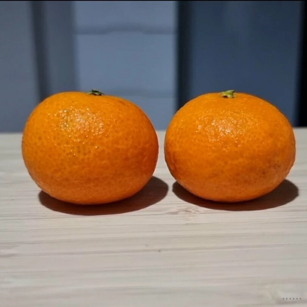 After cny i have oranges of different sizes 