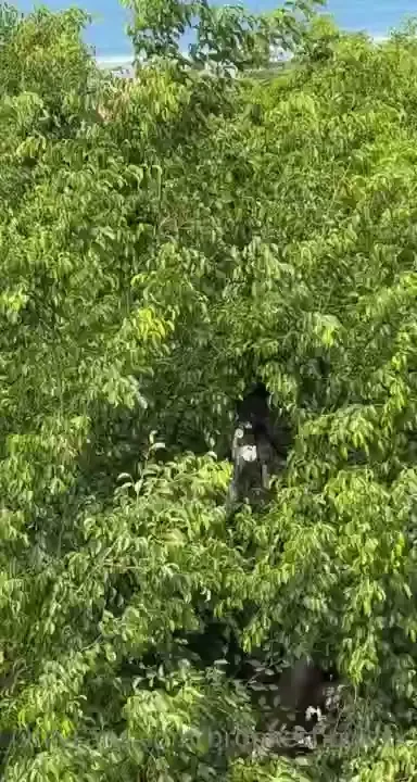 Guys look costa rica just has moneys everywhere 