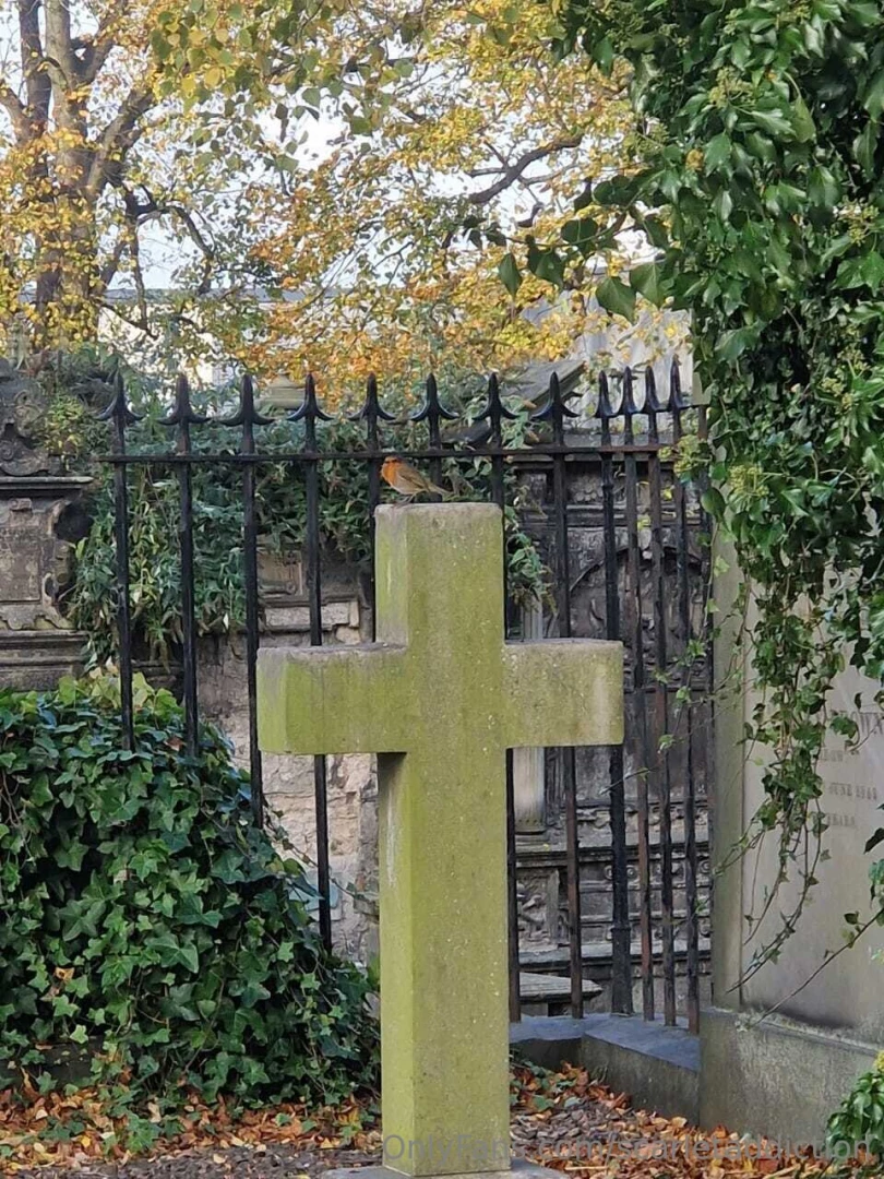 Hi team a few pics from my trip so far the first stop was edinburgh part 6 