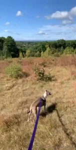 Made it to the top