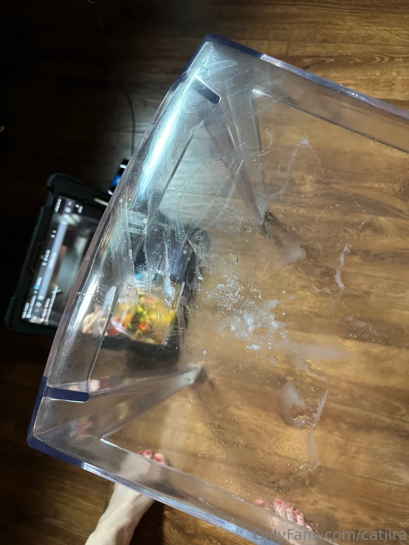 If you re not in our chatroom rn 