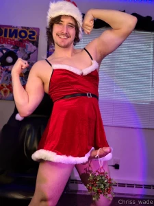 Merry christmas part 1347