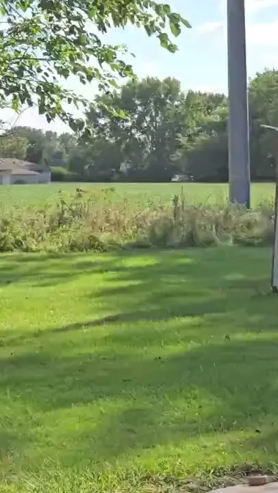 Oops forgot to post this the deers watched me make my video poor 