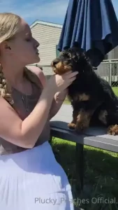 Bonus post no titties only puppy this is indy i inherited her from my part 1