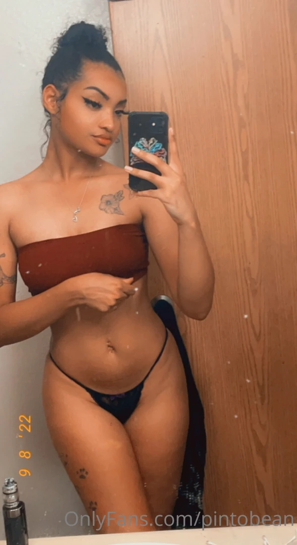 Pintobean part 70395 