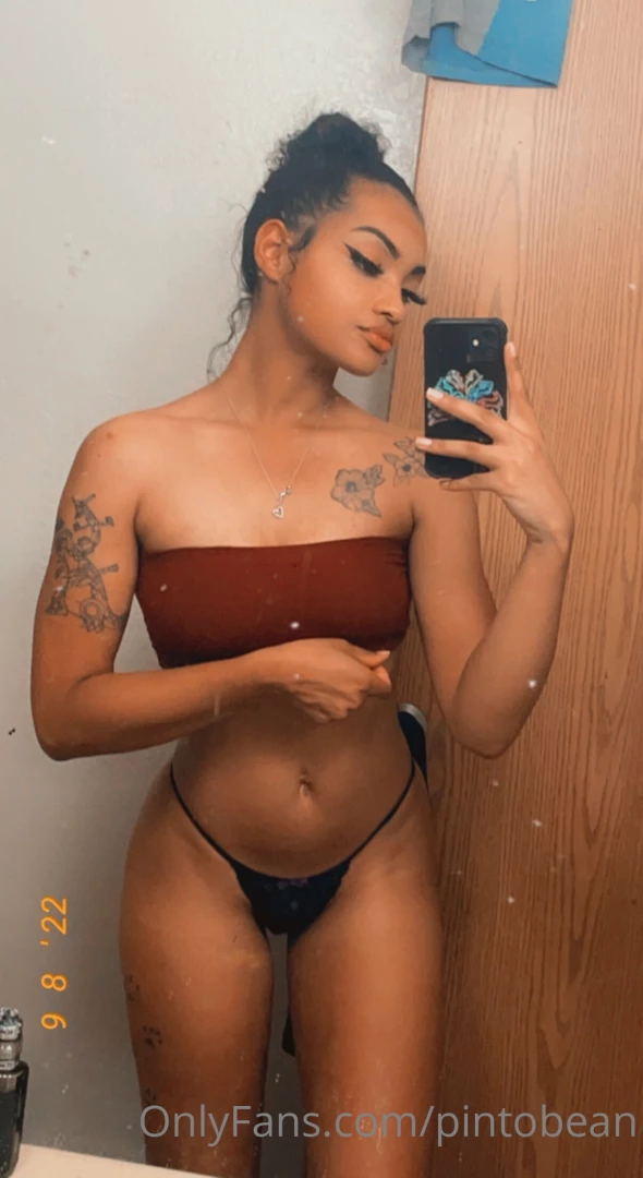 Pintobean part 70396 