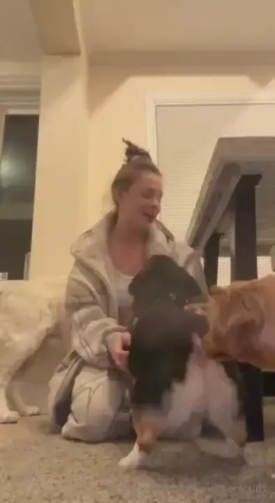 Are you a doggo person 