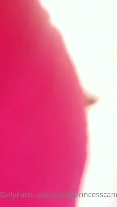 Tiny pov my pet wants to play but i accidentally shrunken it 