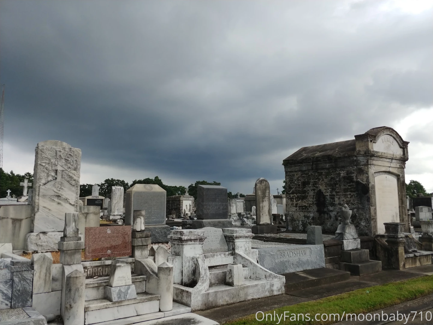 Stopped in new orleans on my birthday roadtrip and walked around the part 3 