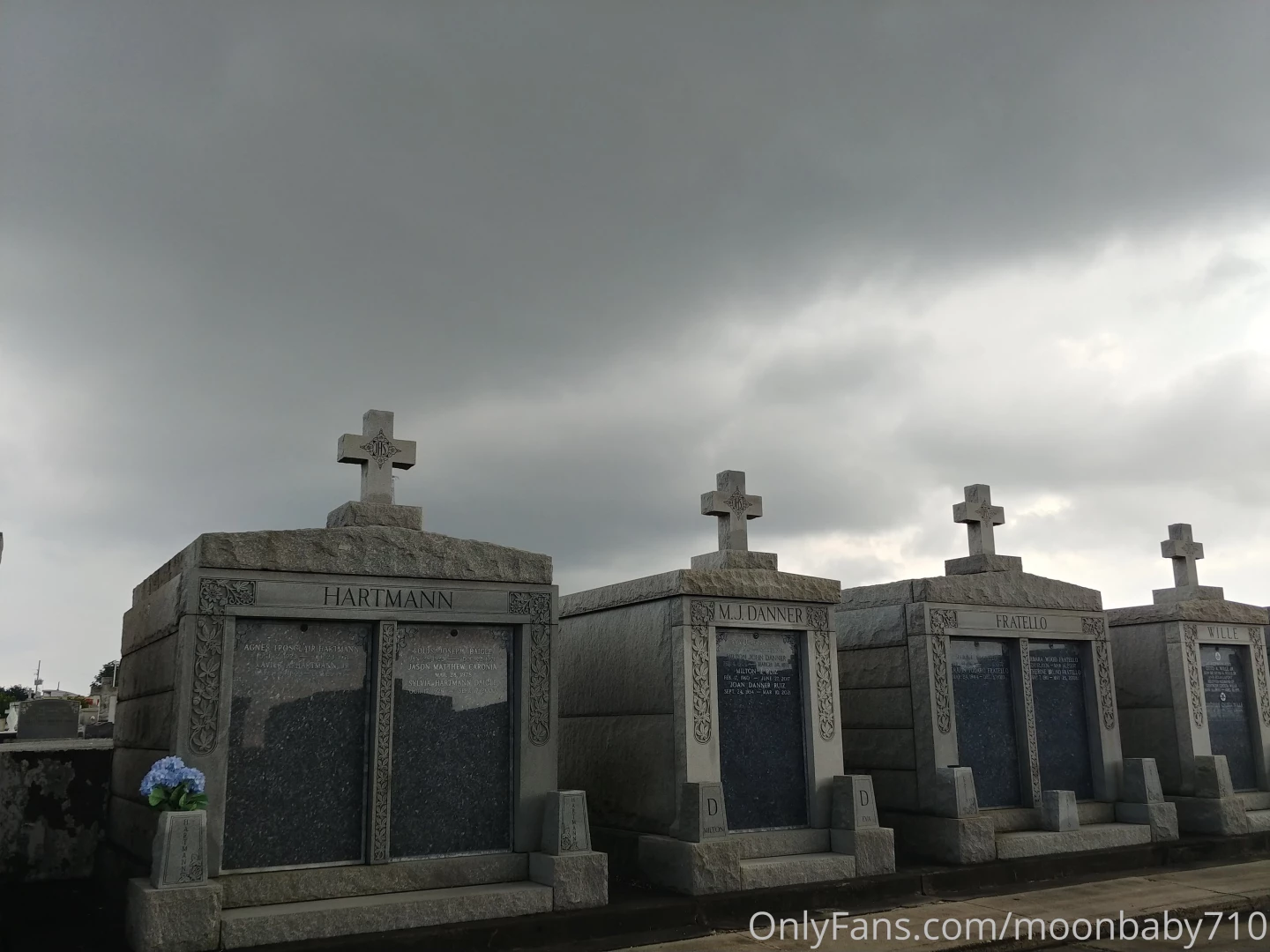 Stopped in new orleans on my birthday roadtrip and walked around the part 7 