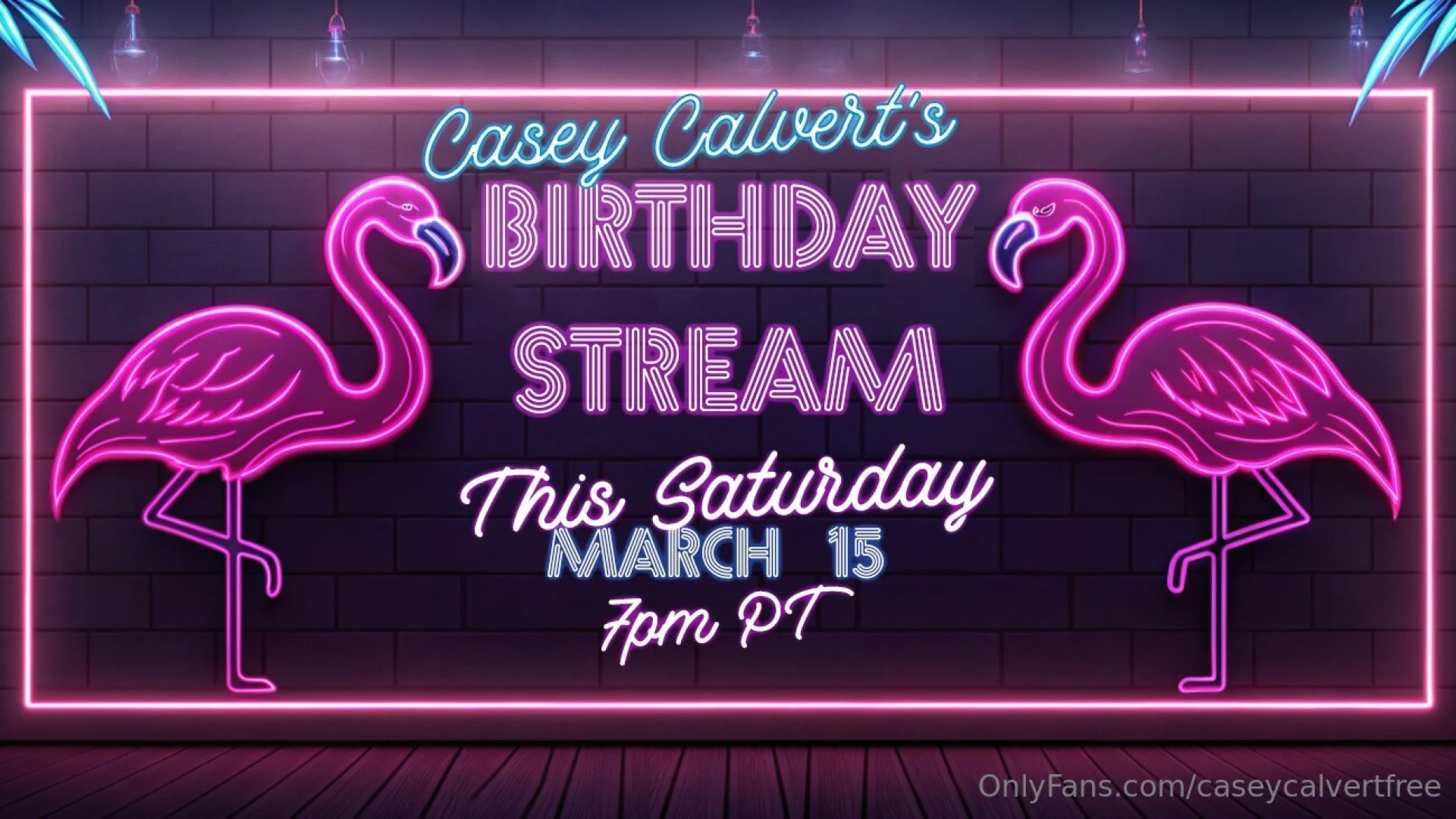 Only subscribers to caseycalvertxxx can come to my birthday stream 