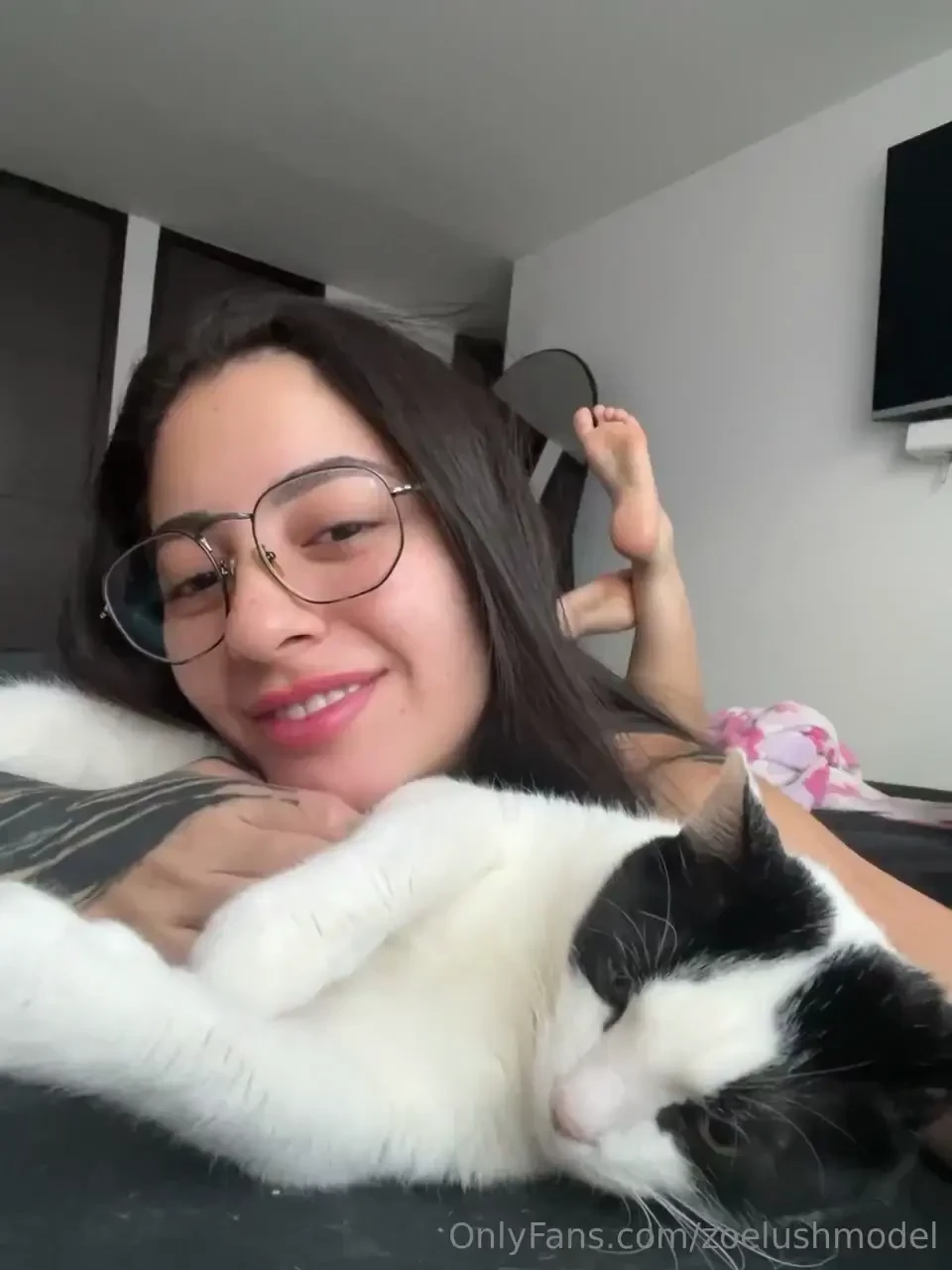 Let s help a shelter hi i m zoe and i love helping homeless furry 