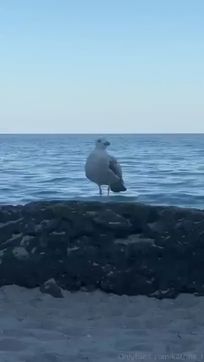 Ugh summer vibes got me dreaming of that beach life nothing beats 