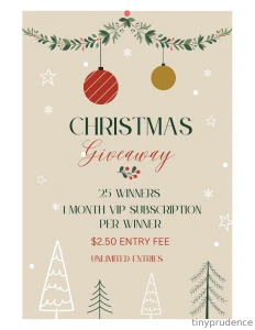 Biggest giveaway of the year happy holidays in the spirit of christmas