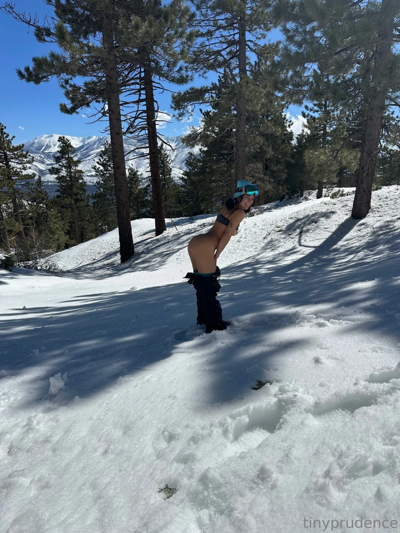 A rare tinyprudence spotting in the wild 