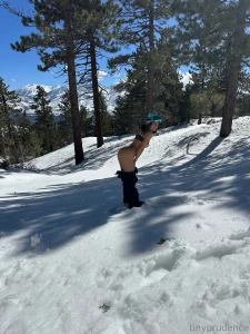 A rare tinyprudence spotting in the wild