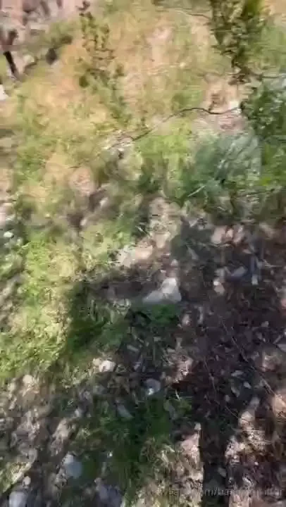 Bestie and i were just minding our own business while hiking when this 