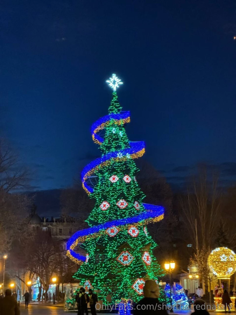 There is already a beautiful christmas tree in the center of the city 