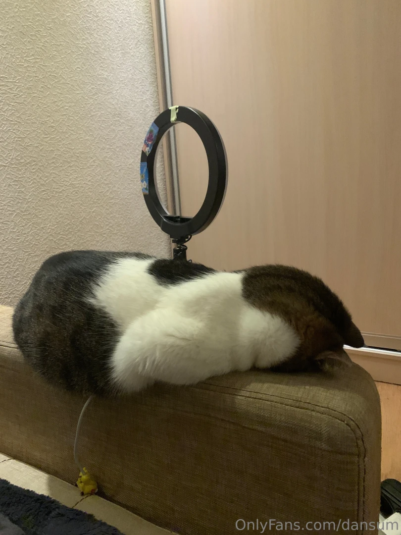 Kitty bro post part 2 