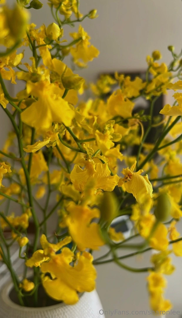 Cute yellow flowers yeah you know i love flowers 
