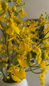 Cute yellow flowers yeah you know i love flowers