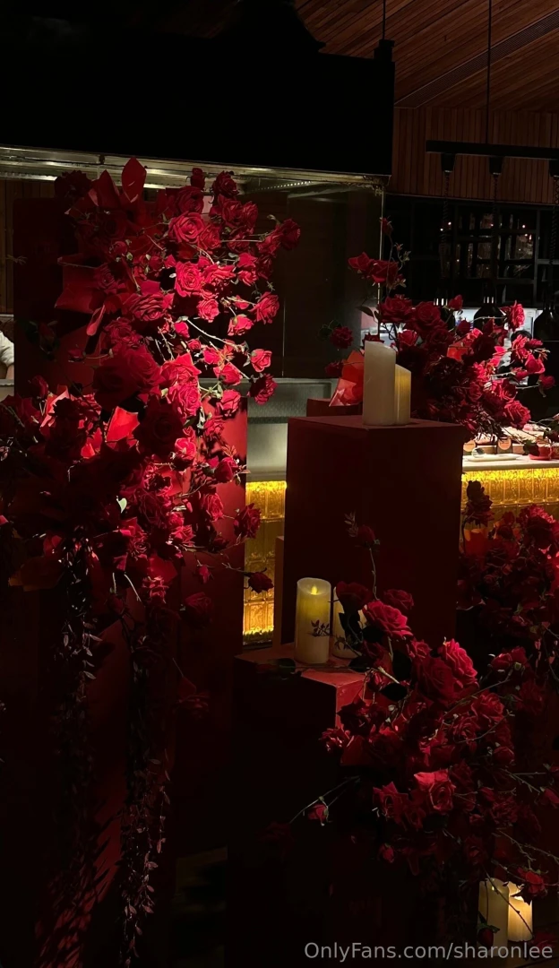 Valentine s day part 14 